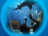 Sealife Konstanz